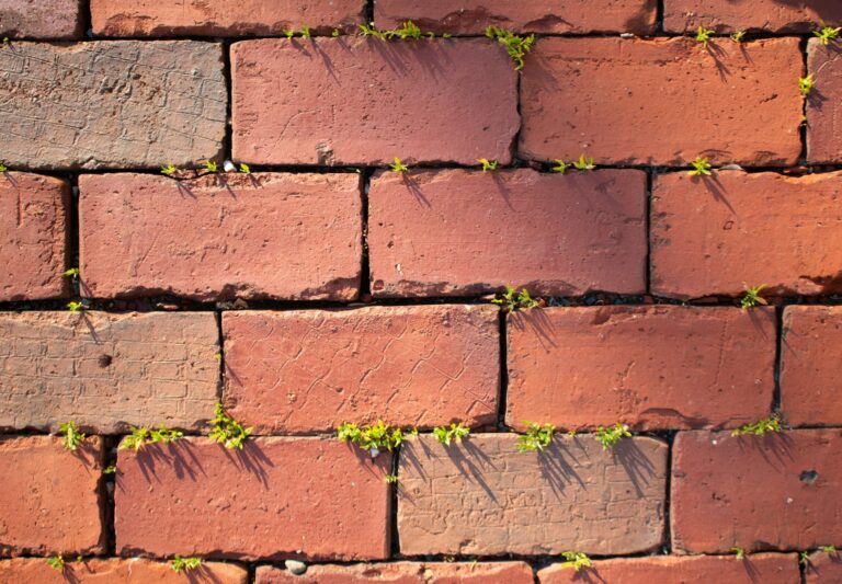 Professionele bestrating zonder onkruid voor een verzorgde tuin of terras