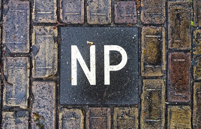 Professionele reiniging van vervuilde klinkers met 'NP' erop op een parkeerterrein in Swifterbant, waarbij algen en mos effectief worden verwijderd voor een veilig resultaat.